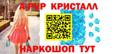 гидра Будённовск