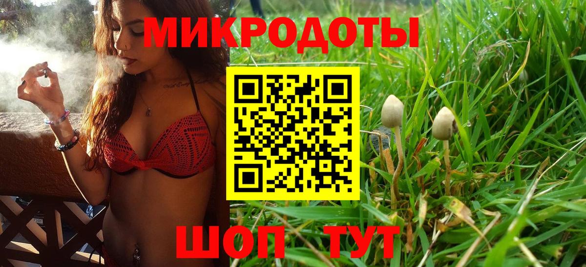 Галлюциногенные грибы прущие грибы  Галлюциногенные грибы мицелий  Вход с VPN  купить  цена  Пенза 